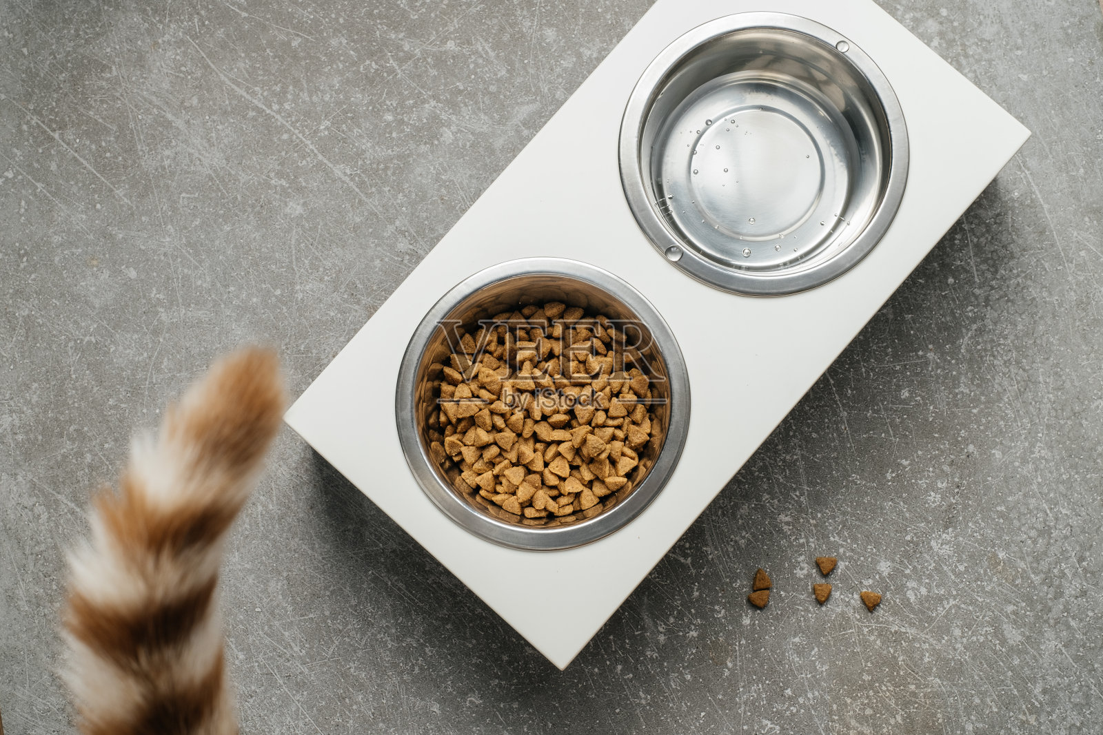 摩登新潮的木盘站在家里，喂猫用的饲料照片摄影图片