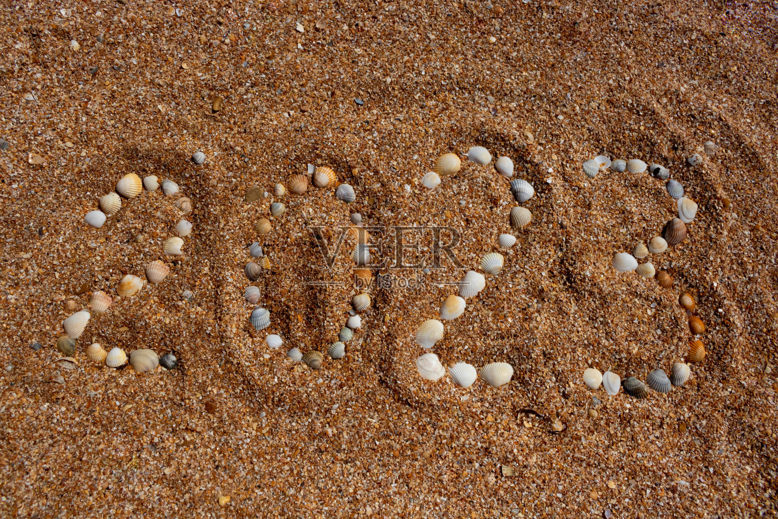 2023年的数字是由小贝壳组成的。2023年新年的概念。暑假和海上旅行照片摄影图片