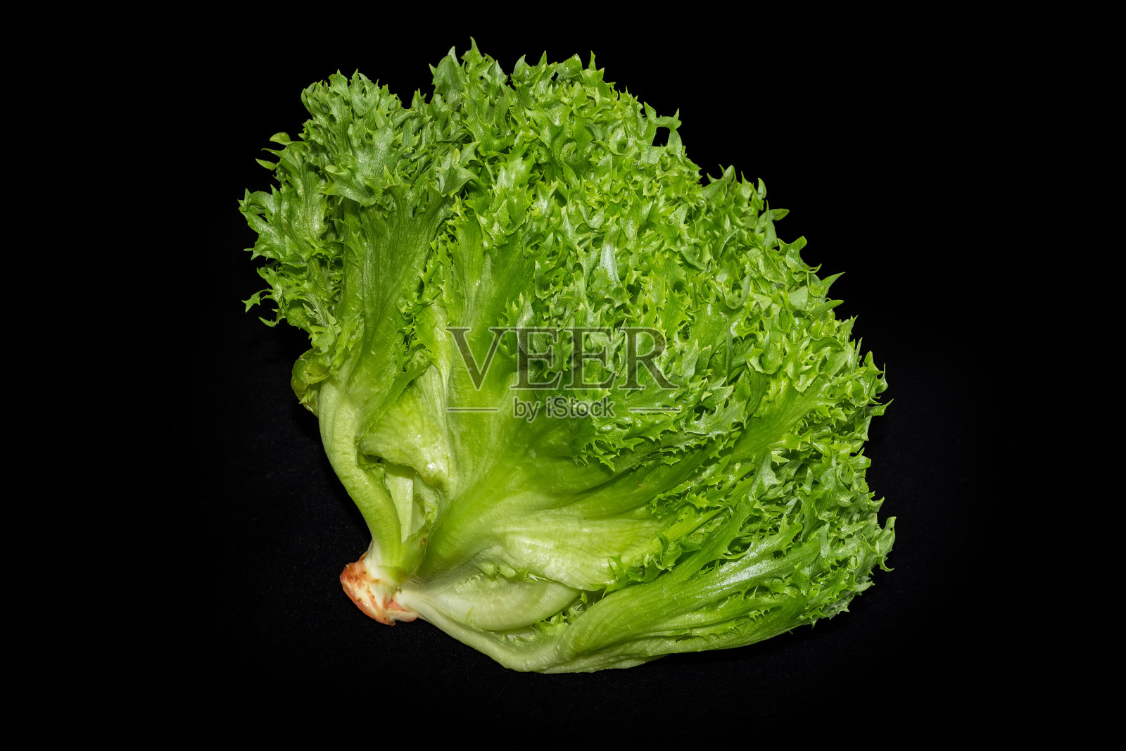 黑色背景上的莴苣头照片摄影图片