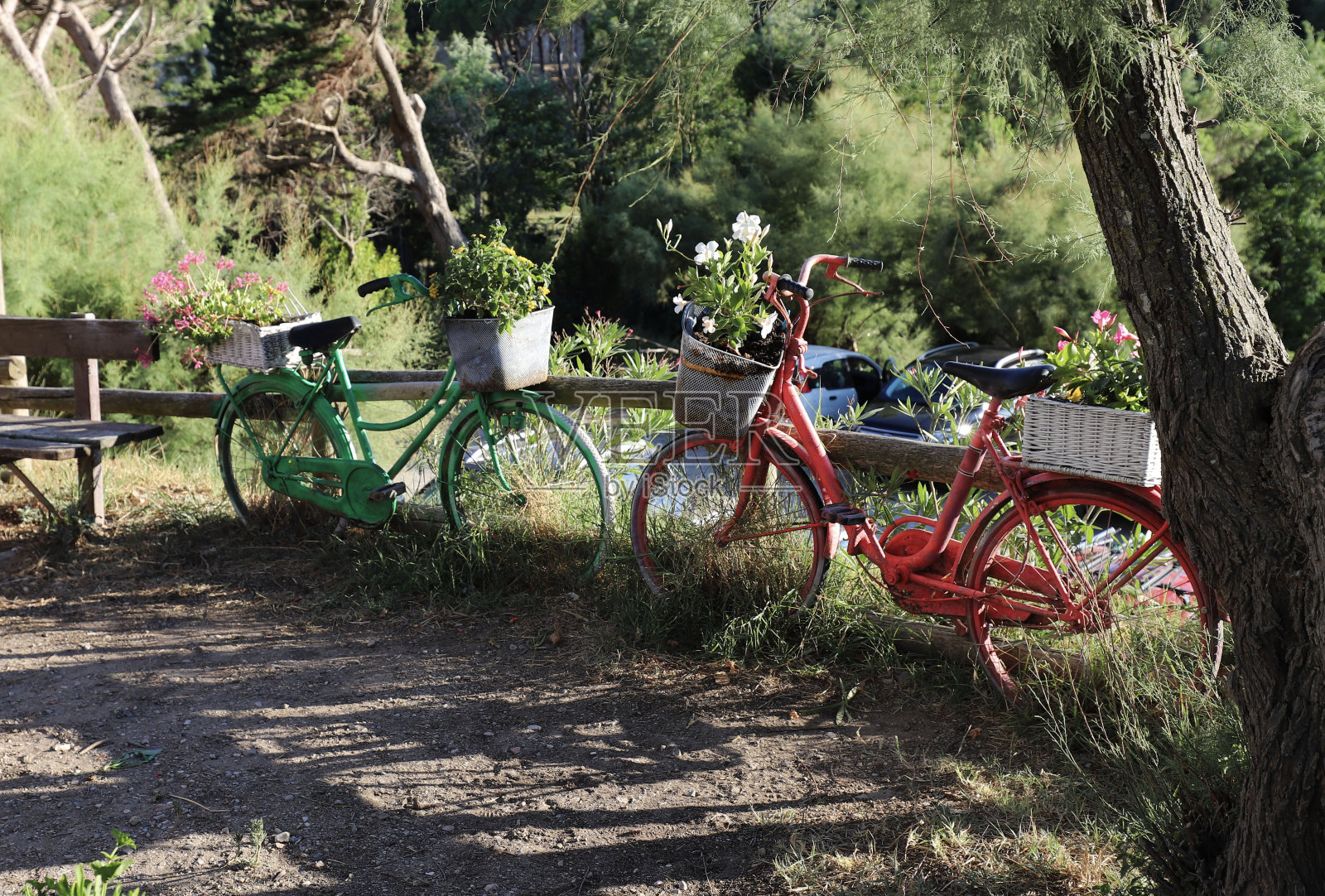 旧自行车装饰。照片摄影图片