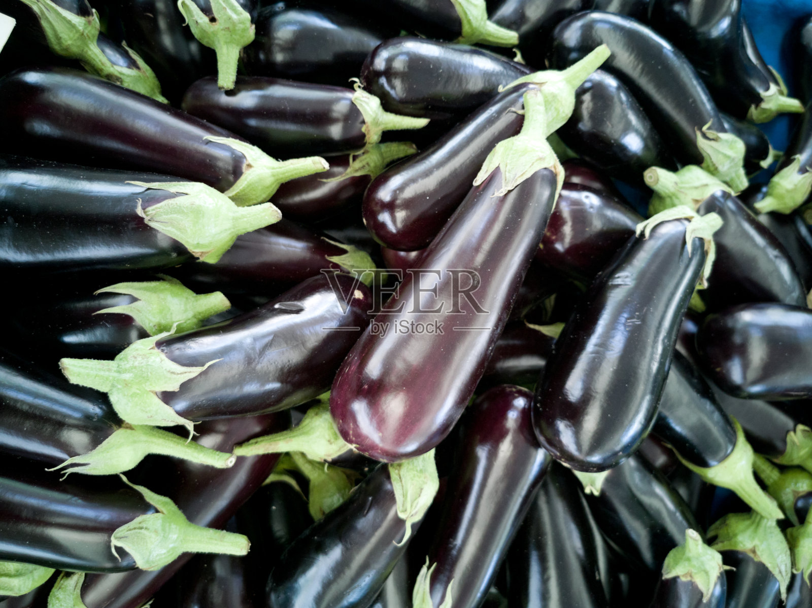 新鲜的鸡蛋植物照片摄影图片