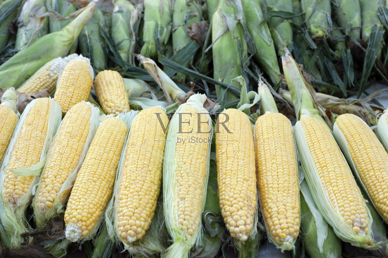 玉米，玉米，炸玉米，烤玉米照片摄影图片