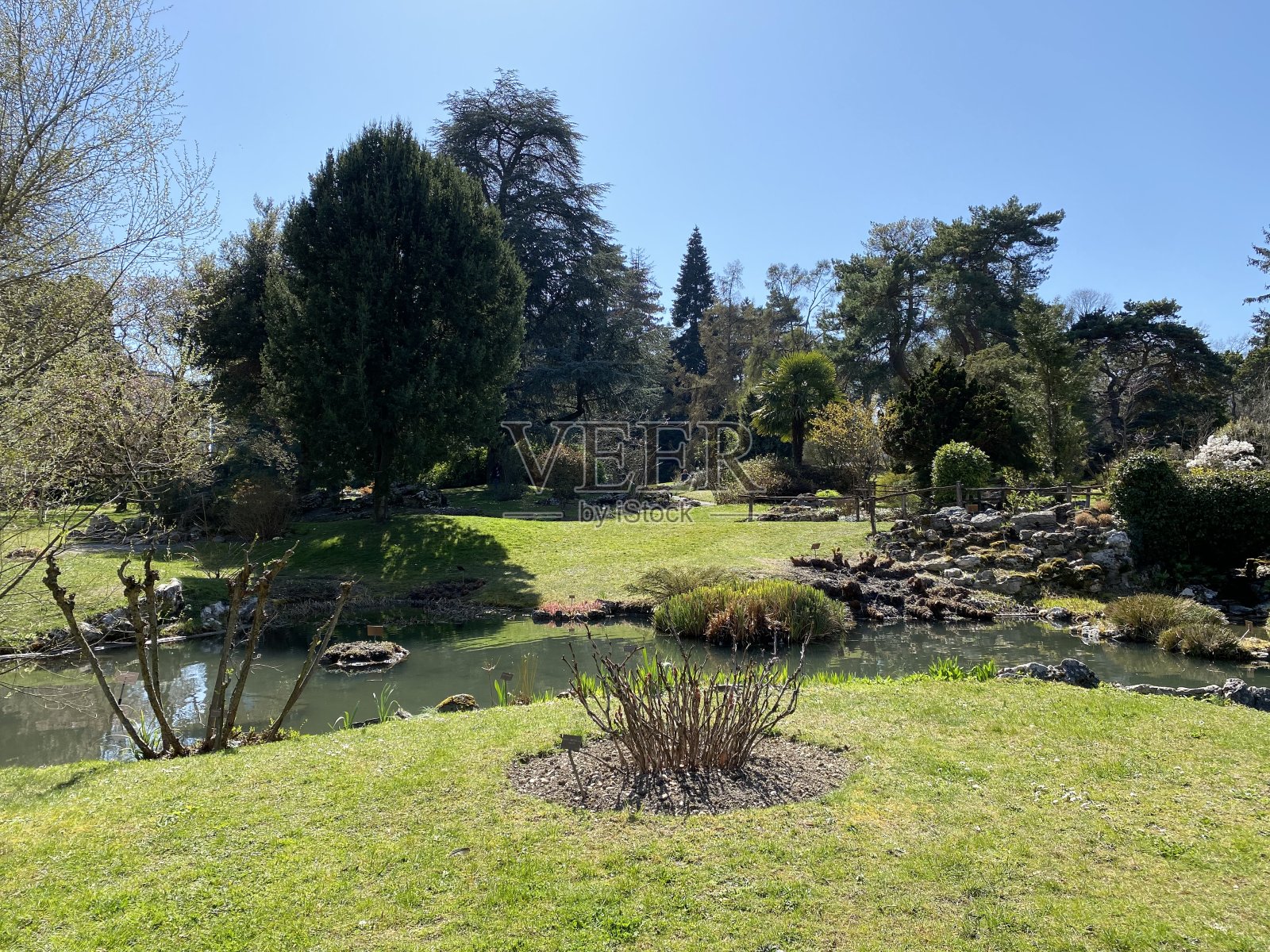 日内瓦市温室植物园(Conservatoire et Jardin Botaniques) Konservatorium and Botanischer Garten Chambésy -瑞士(Suisse / Schweiz)照片摄影图片