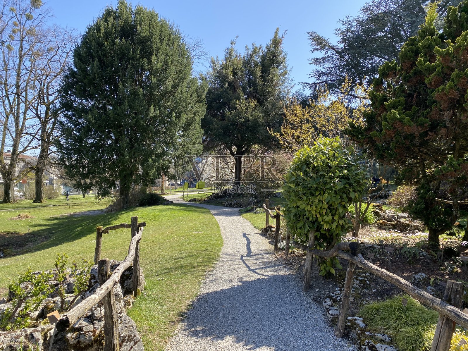 日内瓦市温室植物园(Conservatoire et Jardin Botaniques) Konservatorium and Botanischer Garten Chambésy -瑞士(Suisse / Schweiz)照片摄影图片