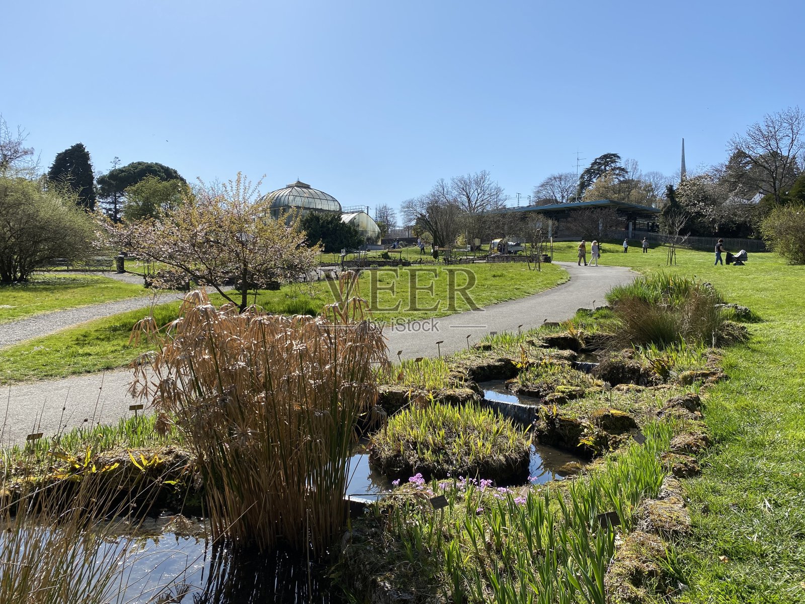 日内瓦市温室植物园(Conservatoire et Jardin Botaniques) Konservatorium and Botanischer Garten Chambésy -瑞士(Suisse / Schweiz)照片摄影图片