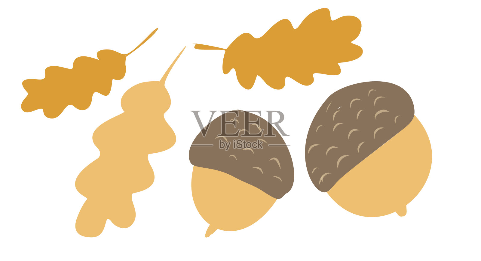 孤立在白色背景上的橡树叶子的橡子。布朗秋天的设计。涂鸦艺术。矢量插图。插画图片素材