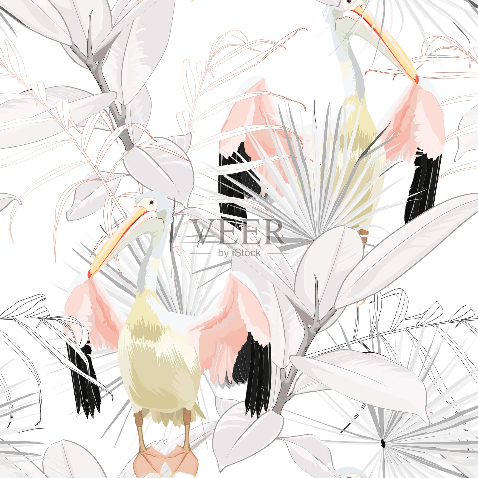 热带年份的灰色棕榈叶和鹈鹕插画图片素材