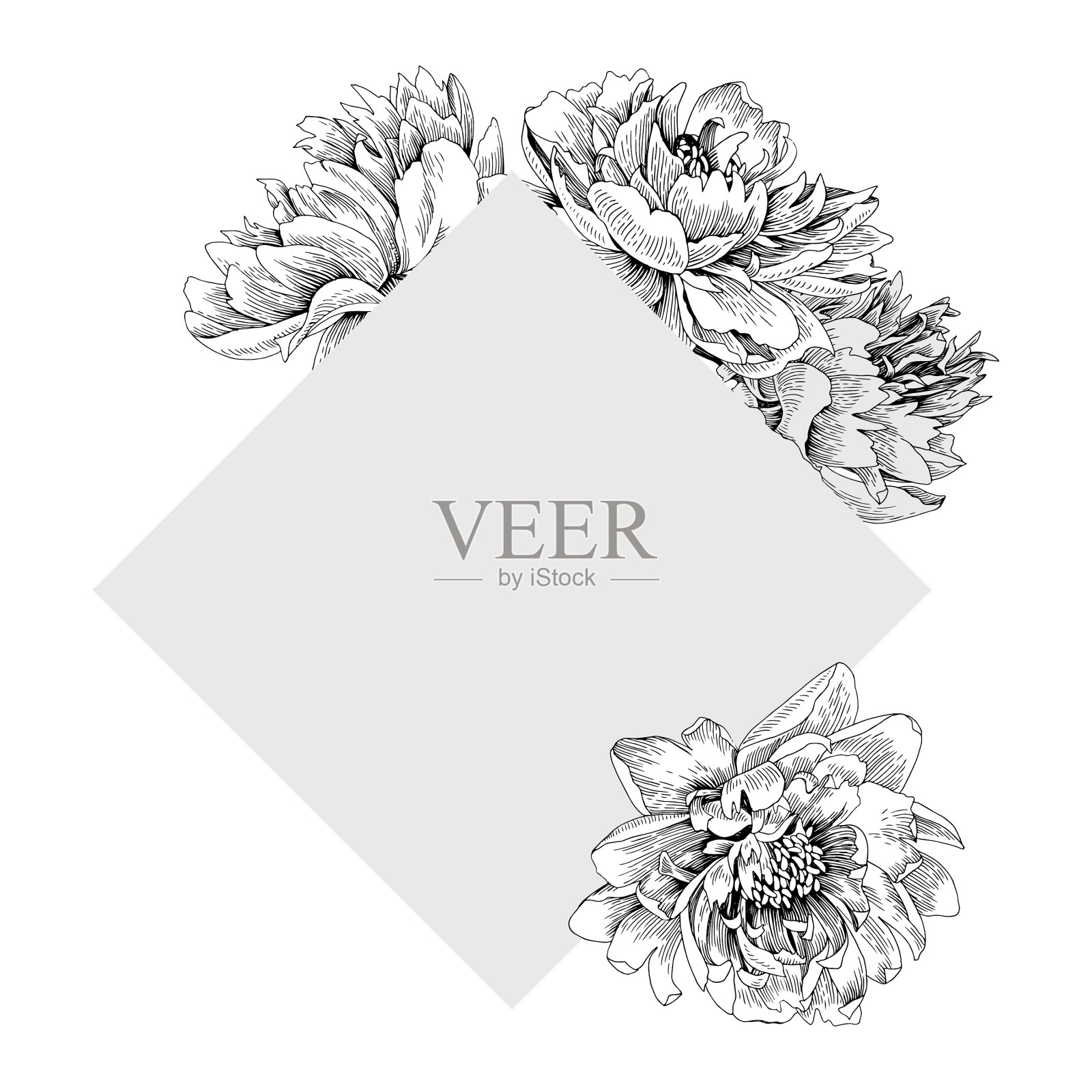 牡丹花架呈方形设计元素图片