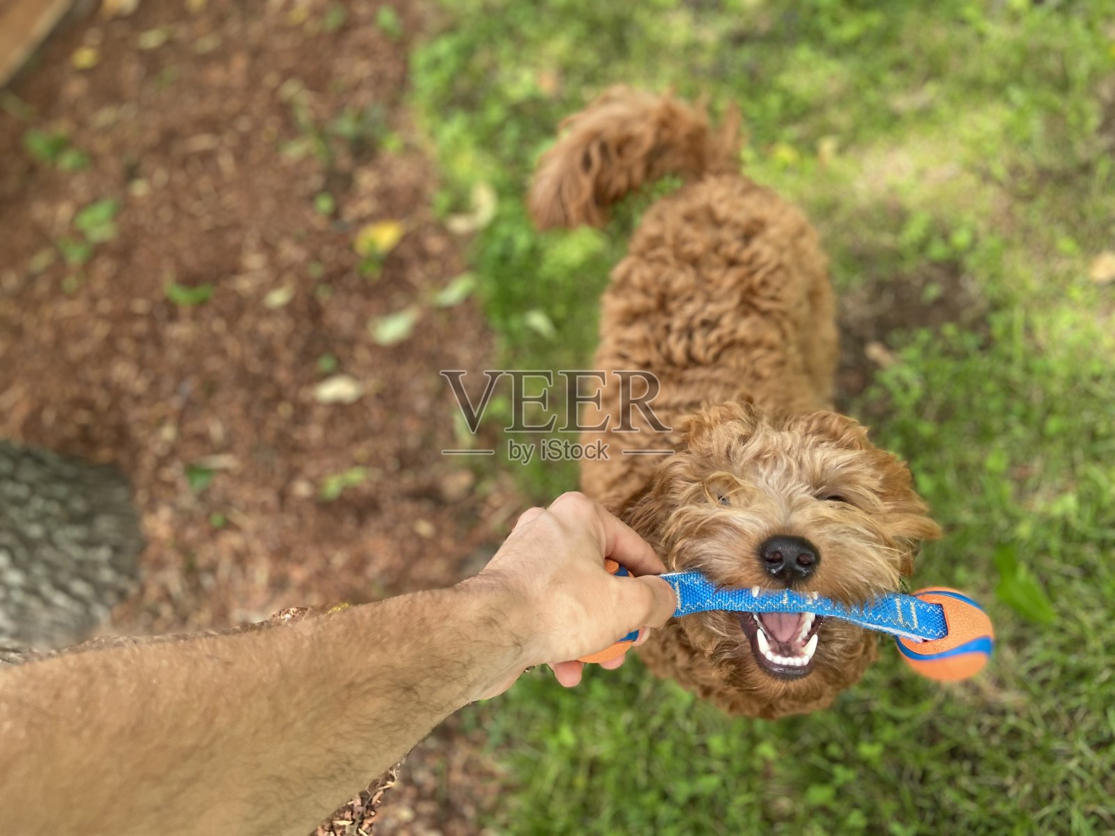 快乐金涂鸦照片摄影图片