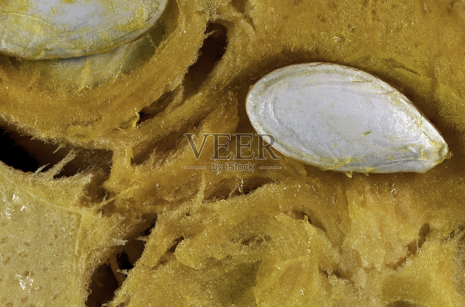 从南瓜里面带种子，新鲜，桌面上的南瓜带种子，超近距离宏观照片摄影图片