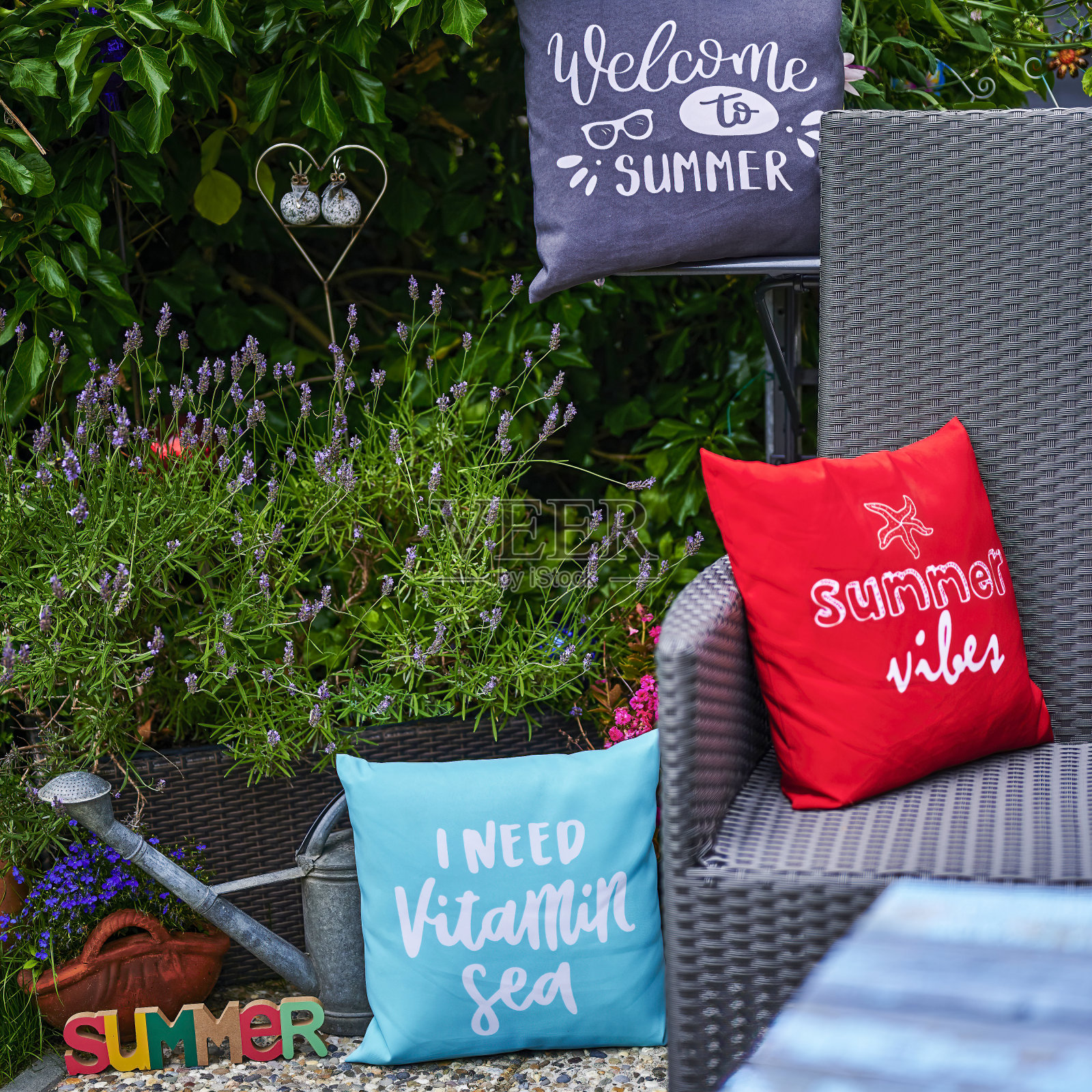 夏日景色点缀着五彩缤纷。照片摄影图片