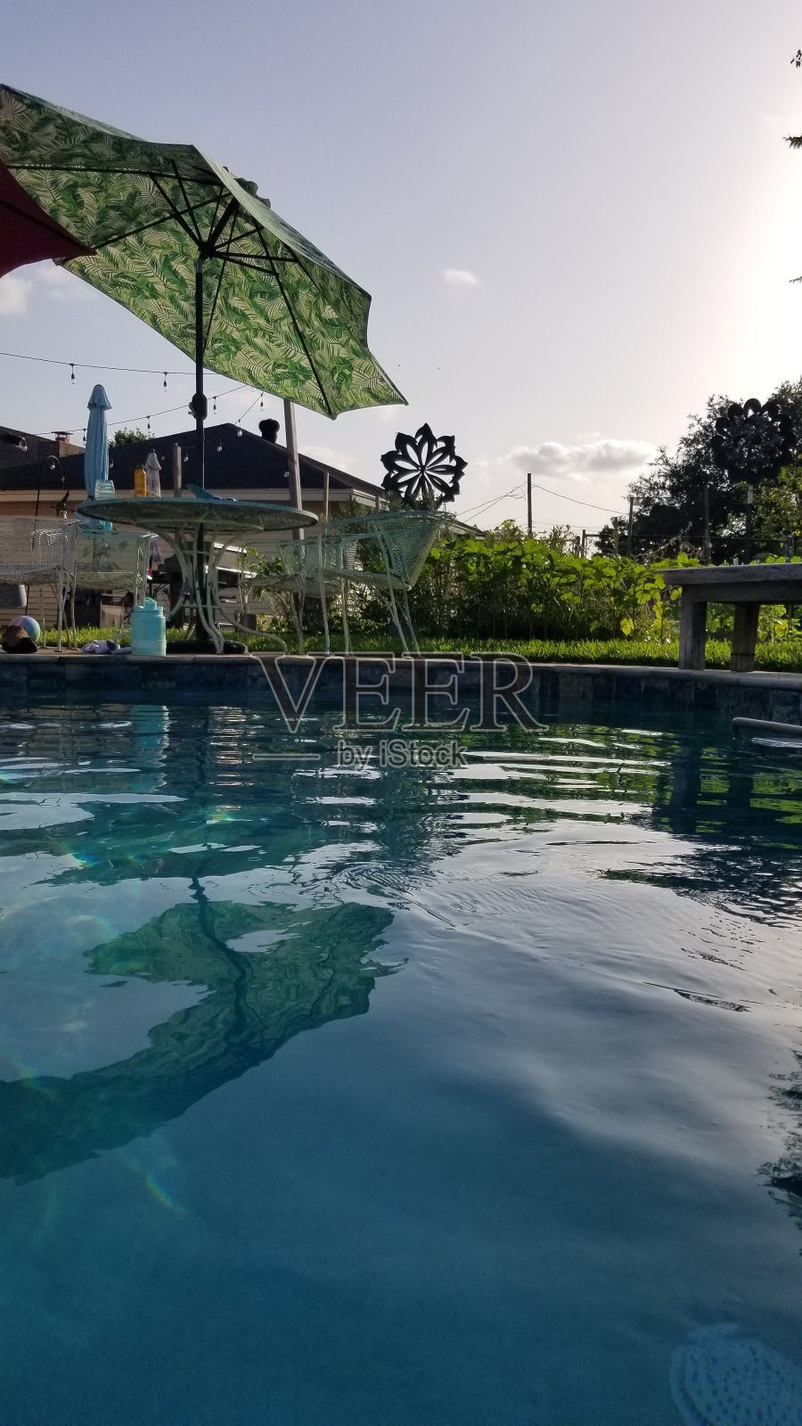 夏天后院照片摄影图片