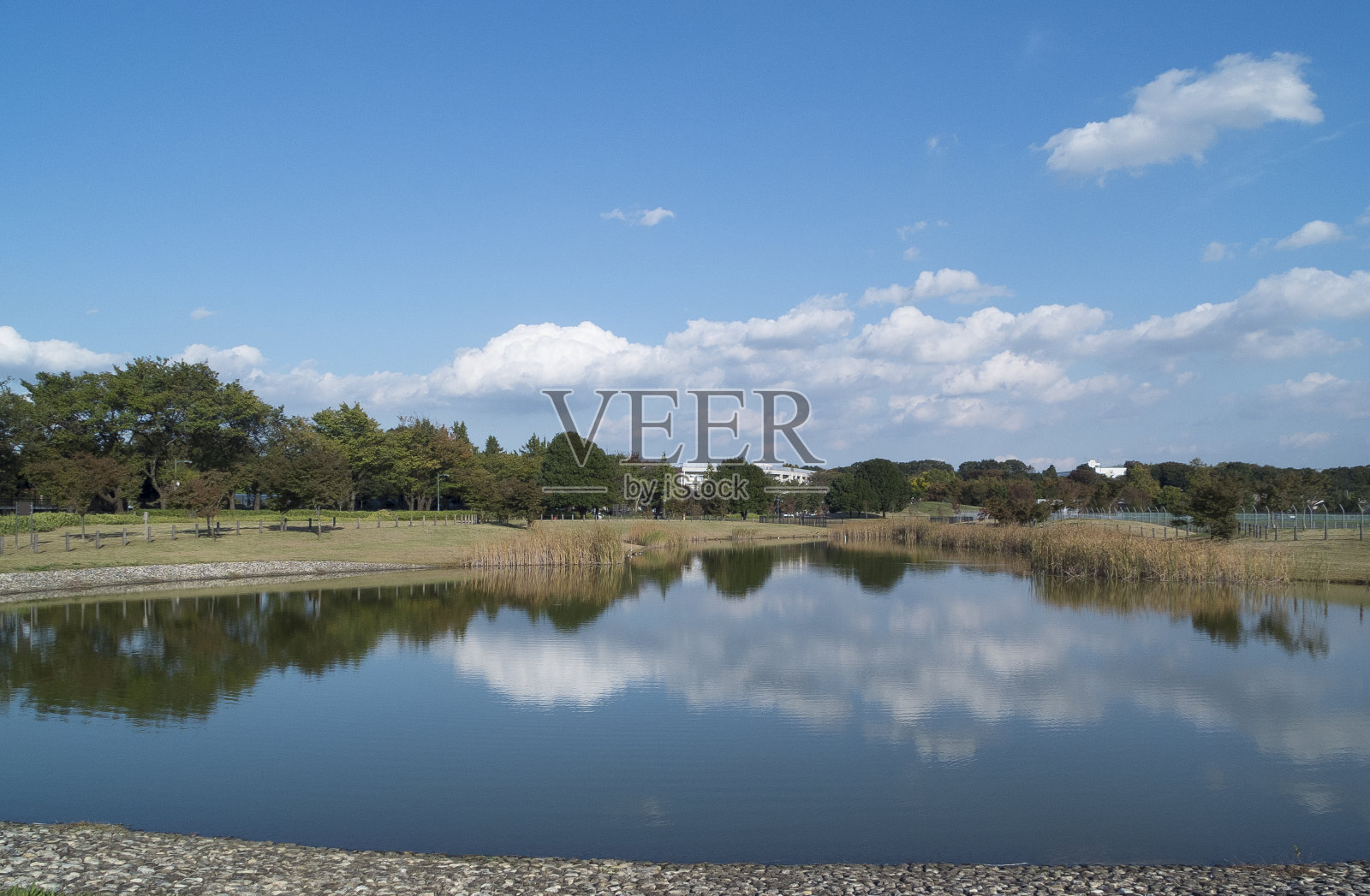 公园照片摄影图片