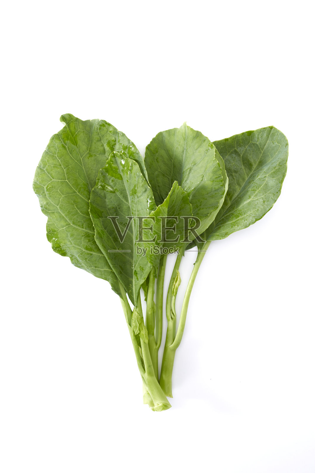 白色背景上的新鲜中国羽衣甘蓝照片摄影图片