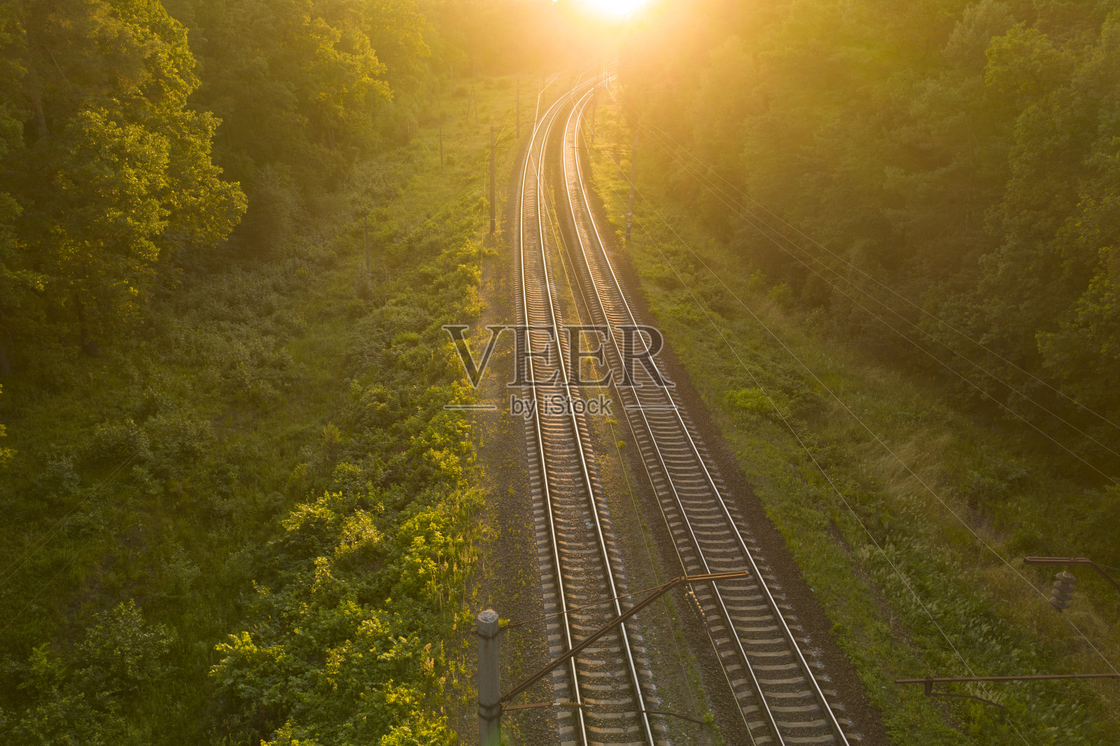 日落或黎明时分，森林里的空铁轨。照片摄影图片