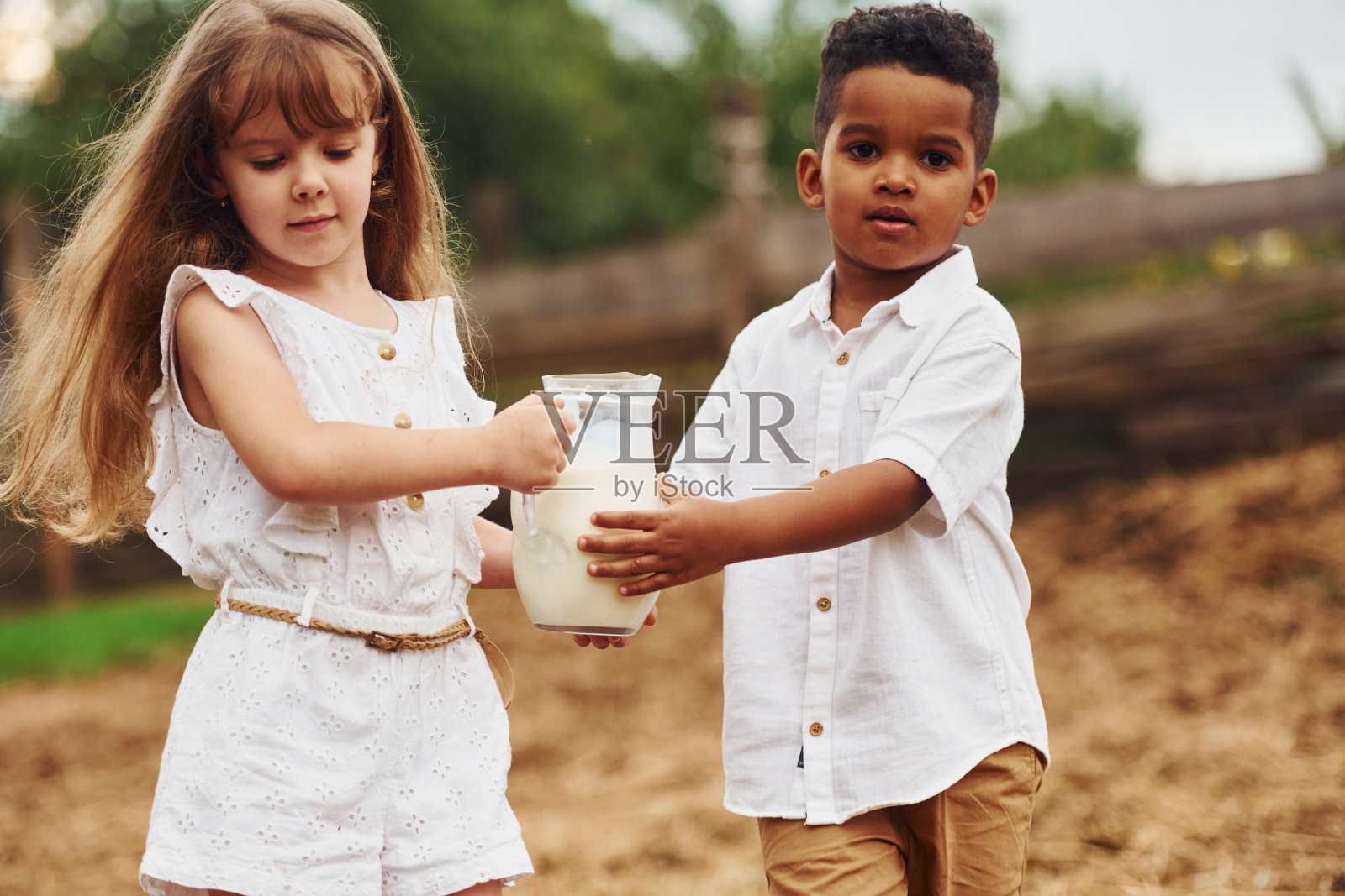 可爱的非洲裔美国小男孩和欧洲女孩在农场喝牛奶照片摄影图片