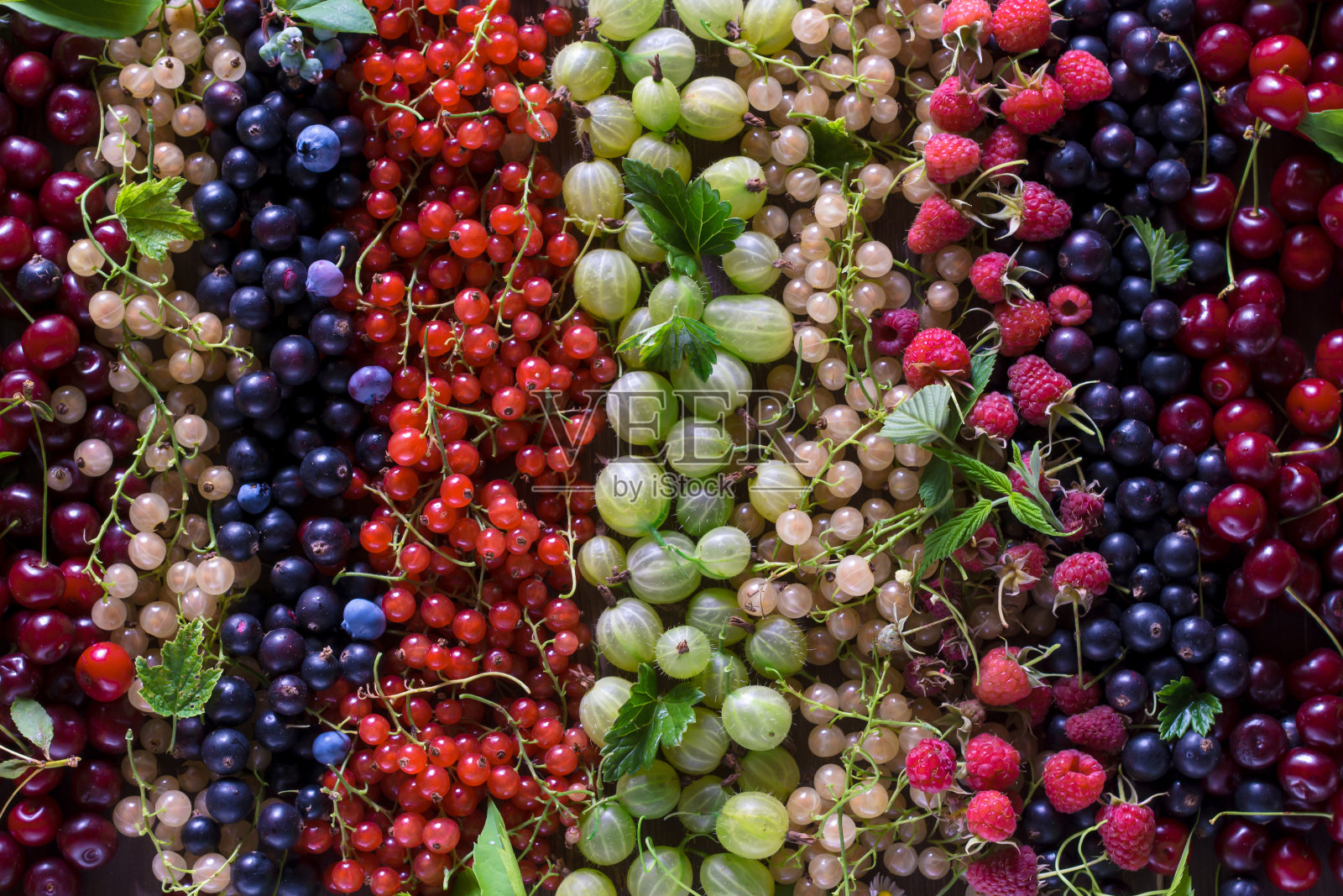 各种新鲜采摘的多汁彩色浆果的背景照片摄影图片