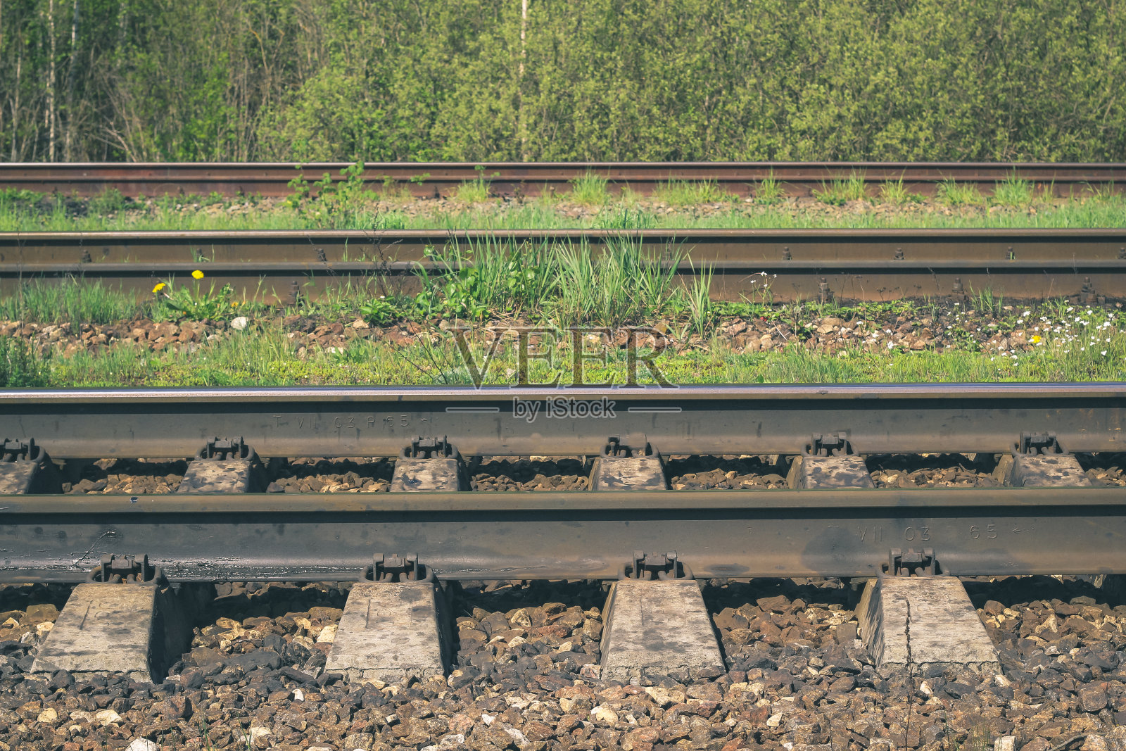 铁路轨道，侧视图。交通背景。乘火车旅行的概念。用火车运输。铁轨周围长着草。铁轨周围长着绿草照片摄影图片