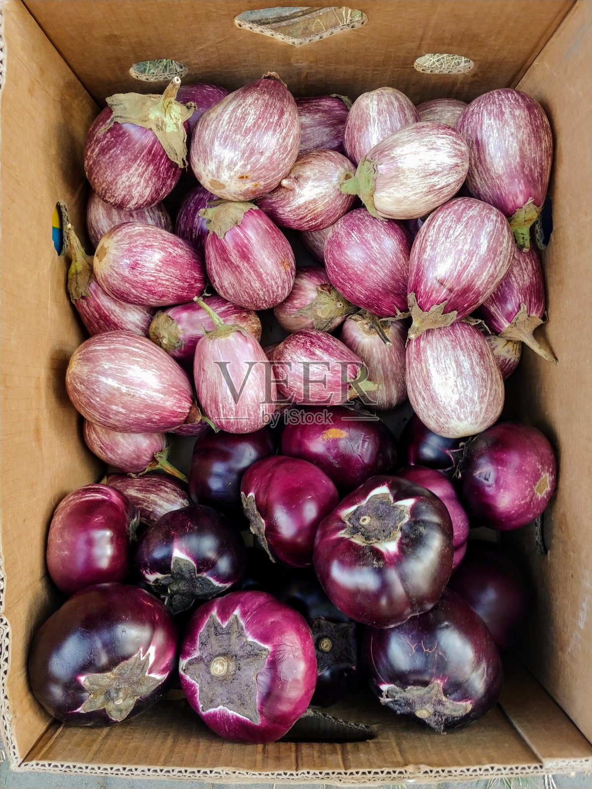 盒子里有粉红色和紫色的西葫芦照片摄影图片