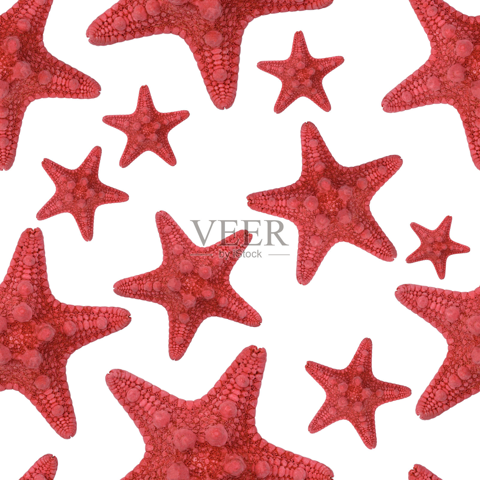 红色海星无缝图案。孤立在白色背景上。无尽的纹理用于海洋设计，贺卡，织物，公告，海报照片摄影图片