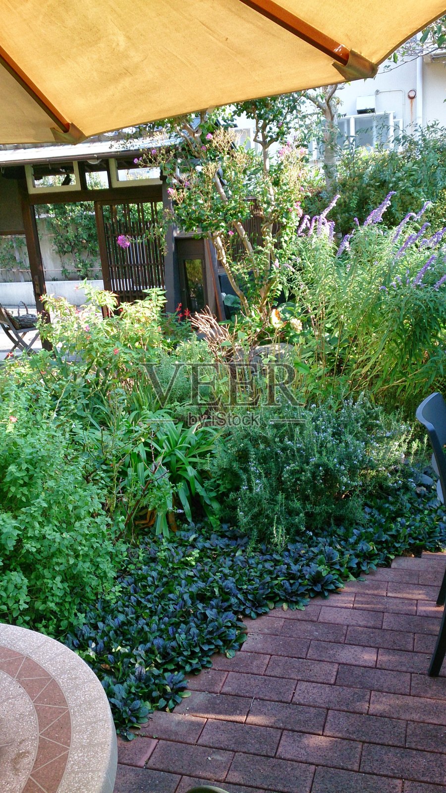 神户的夏日花园照片摄影图片