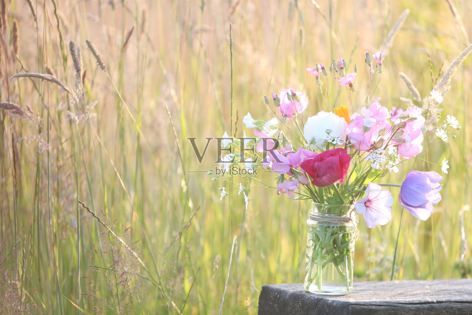 野花的芳香照片摄影图片