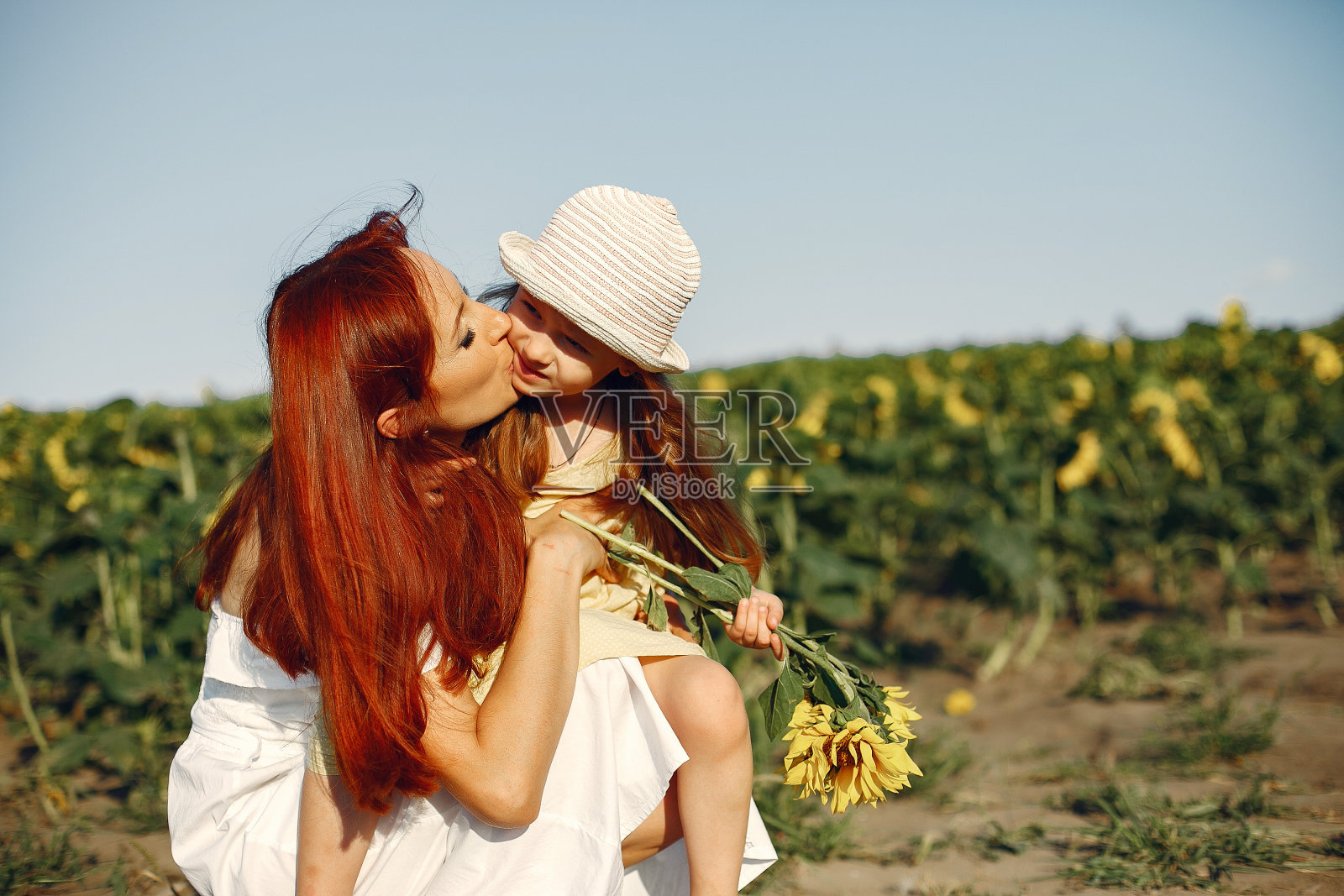 美丽可爱的家庭在向日葵田照片摄影图片