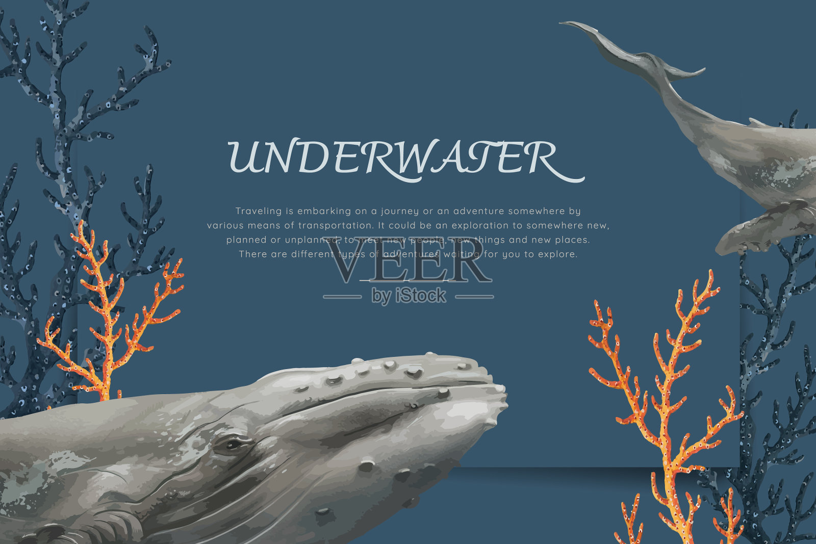 手绘鲸鱼插画图片素材