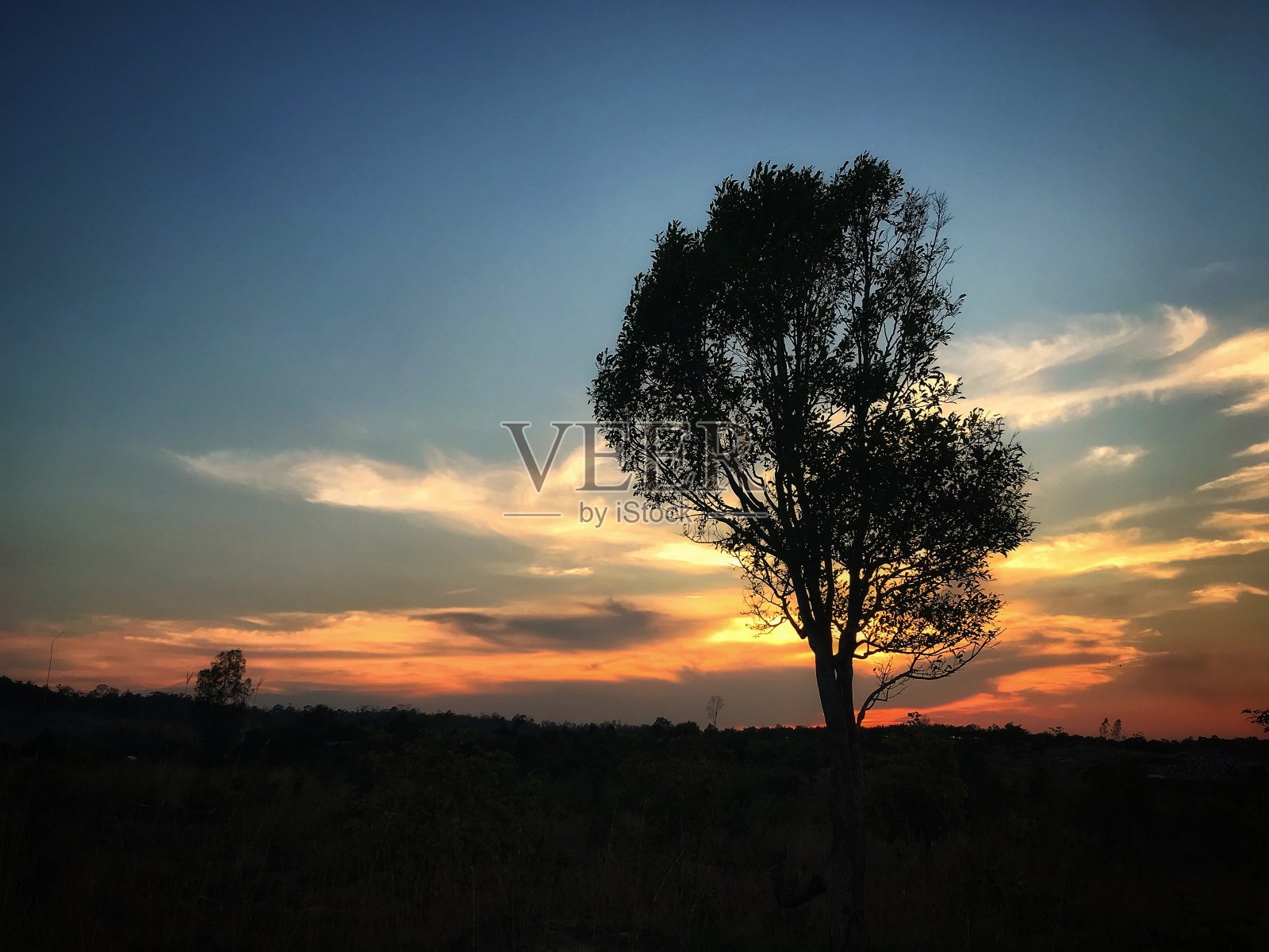 阳光照片摄影图片