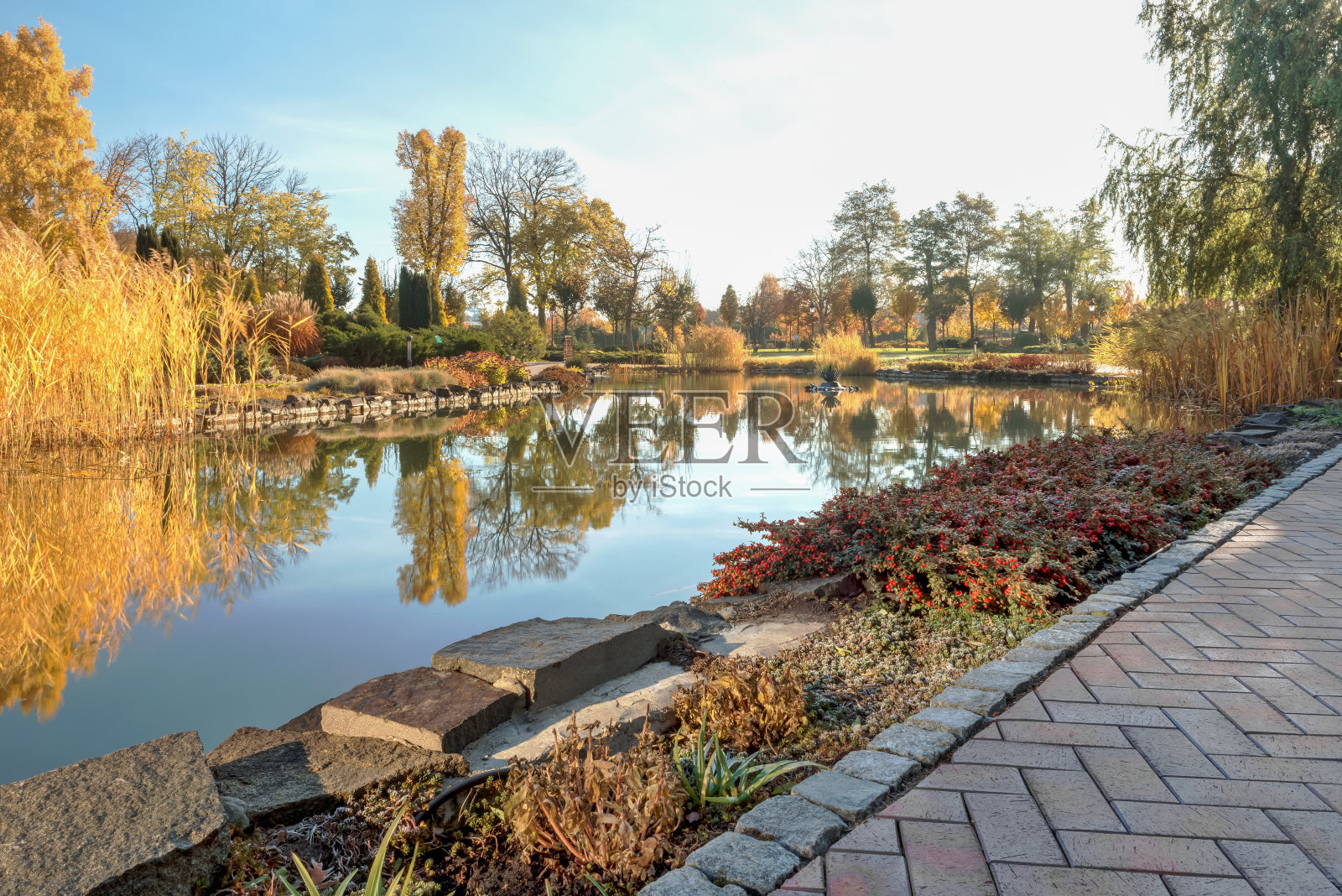 阳光下的秋园碎片。照片摄影图片