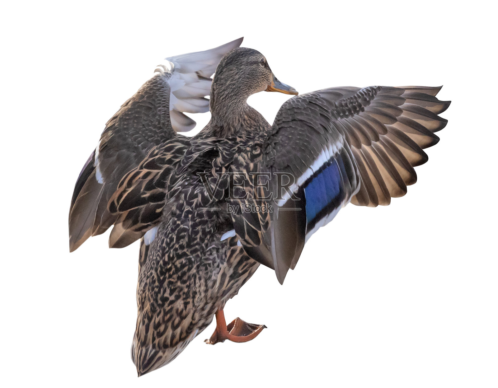 俯瞰一组白云照片摄影图片