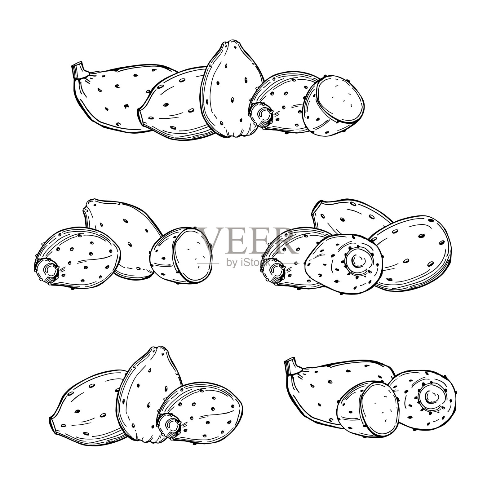 食用仙人掌。矢量插图。插画图片素材