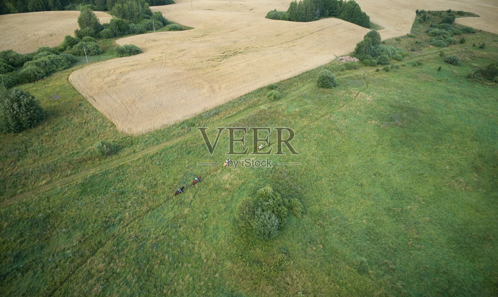 在野外骑马照片摄影图片