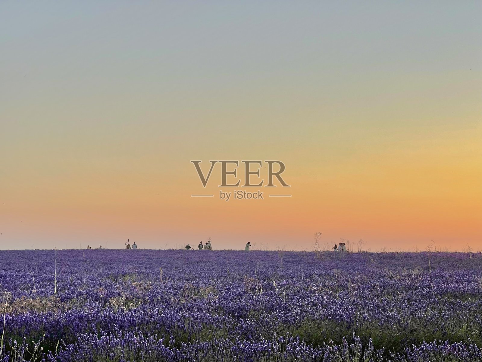 布里胡埃加照片摄影图片