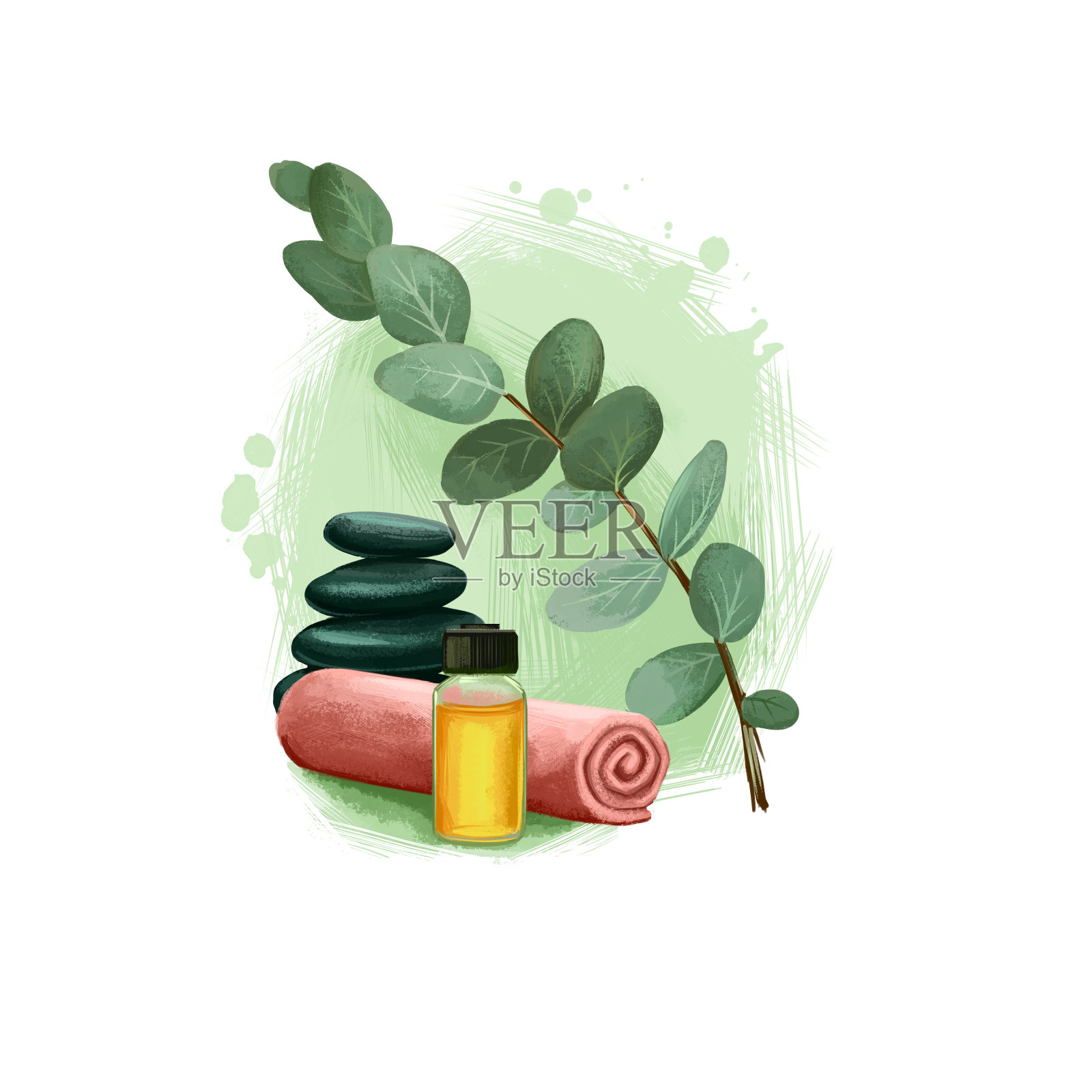 桉树阿育吠陀草药数字艺术插图与文字孤立在白色。健康有机植物广泛用于治疗和治疗，植物为天然保健用途制备药物。插画图片素材