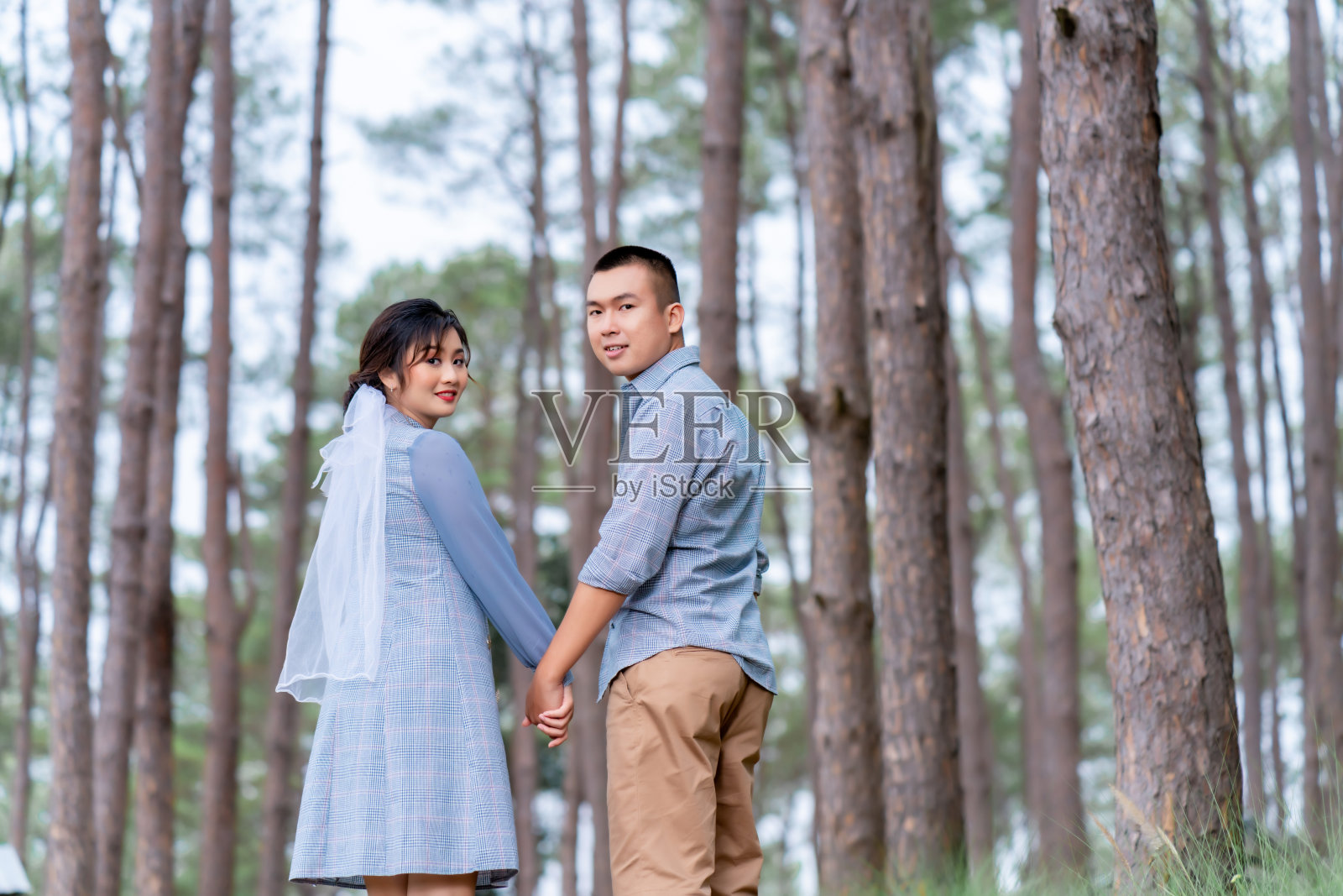 一对亚洲夫妇在一个松树花园中，穿着相同的蓝色衣服摆姿势拍婚纱照，愉快地展示他们的爱的表达。照片摄影图片