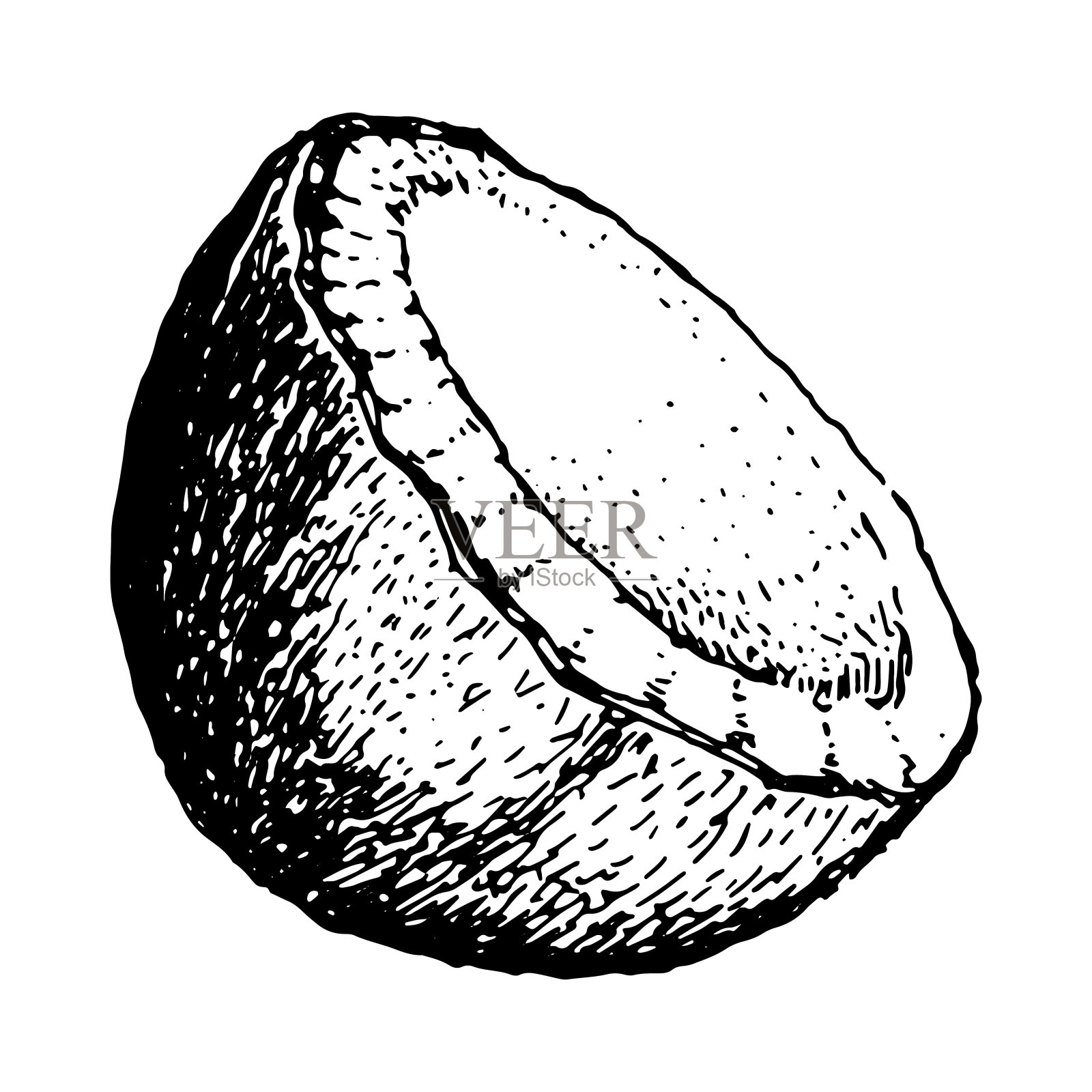 草图椰子半矢量图标孤立在白色的背景，艺术标志设计插画图片素材