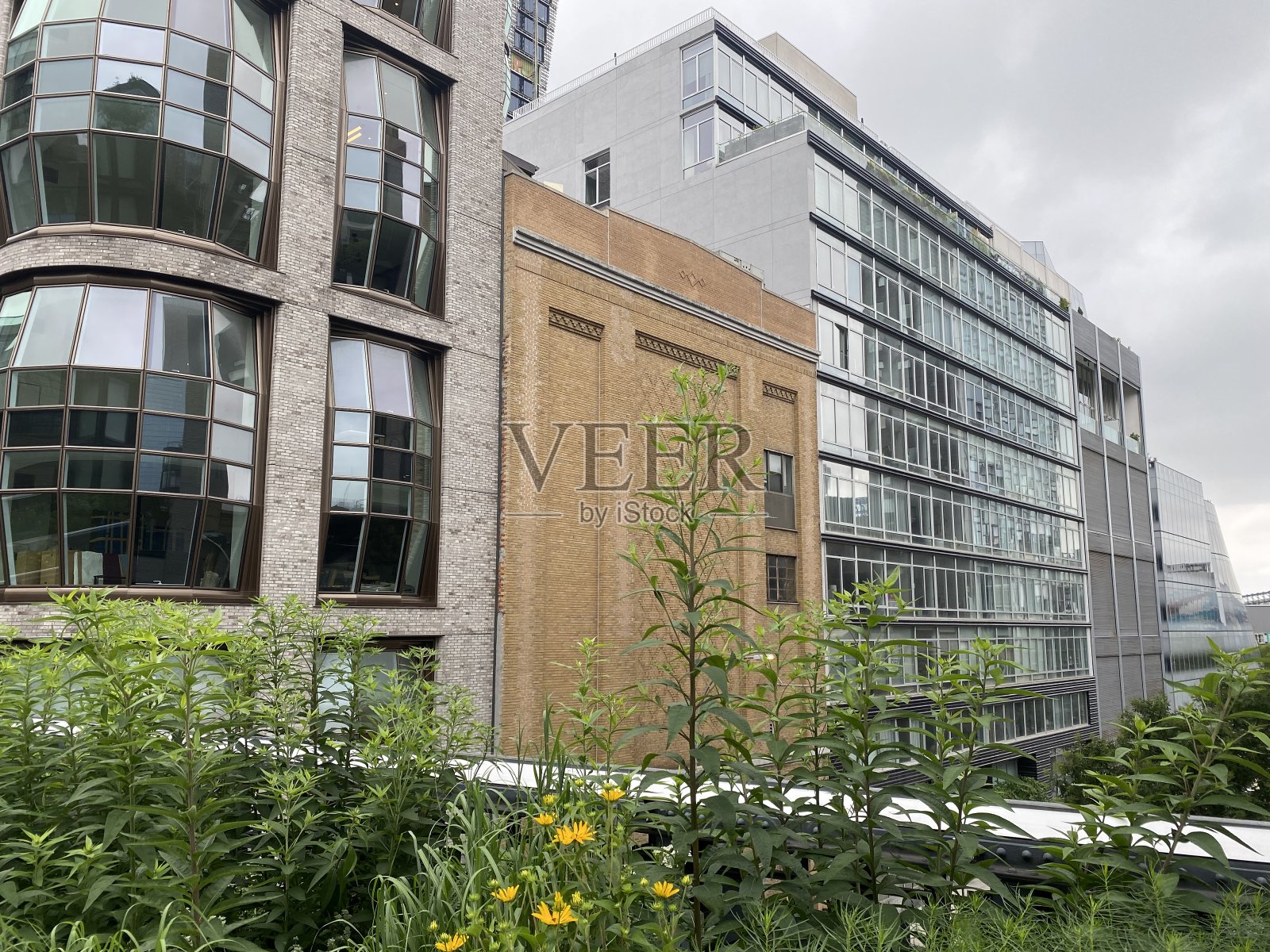 建筑在纽约照片摄影图片