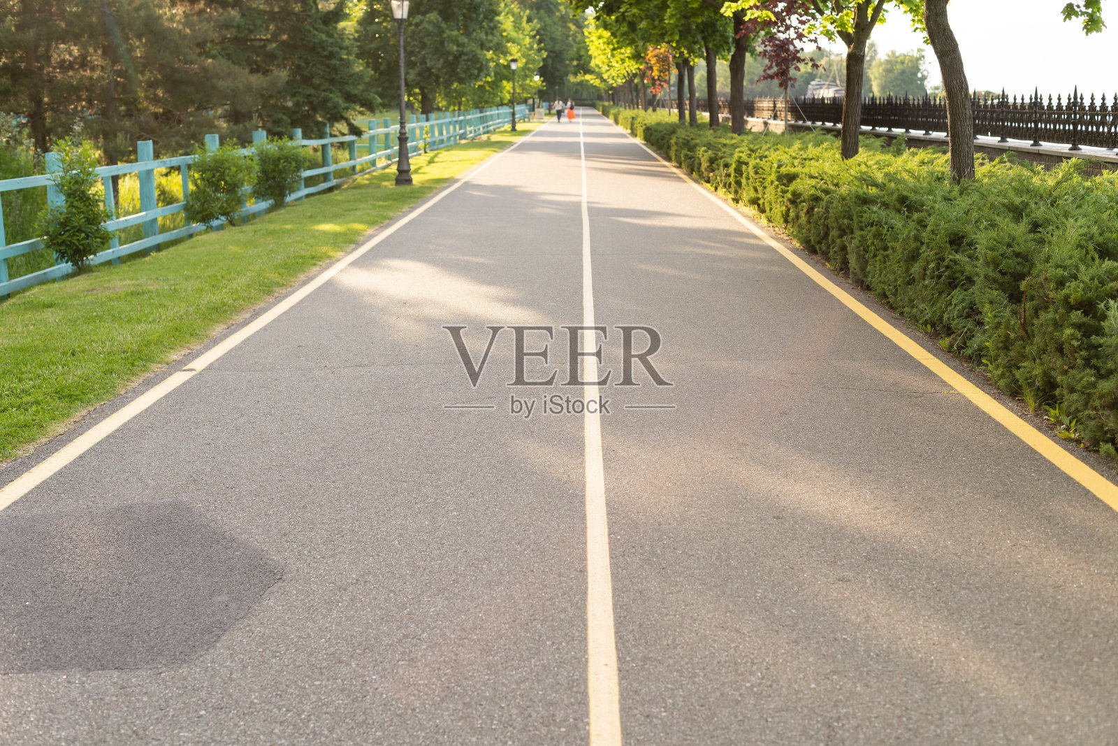 绿树成荫的乡间小路照片摄影图片