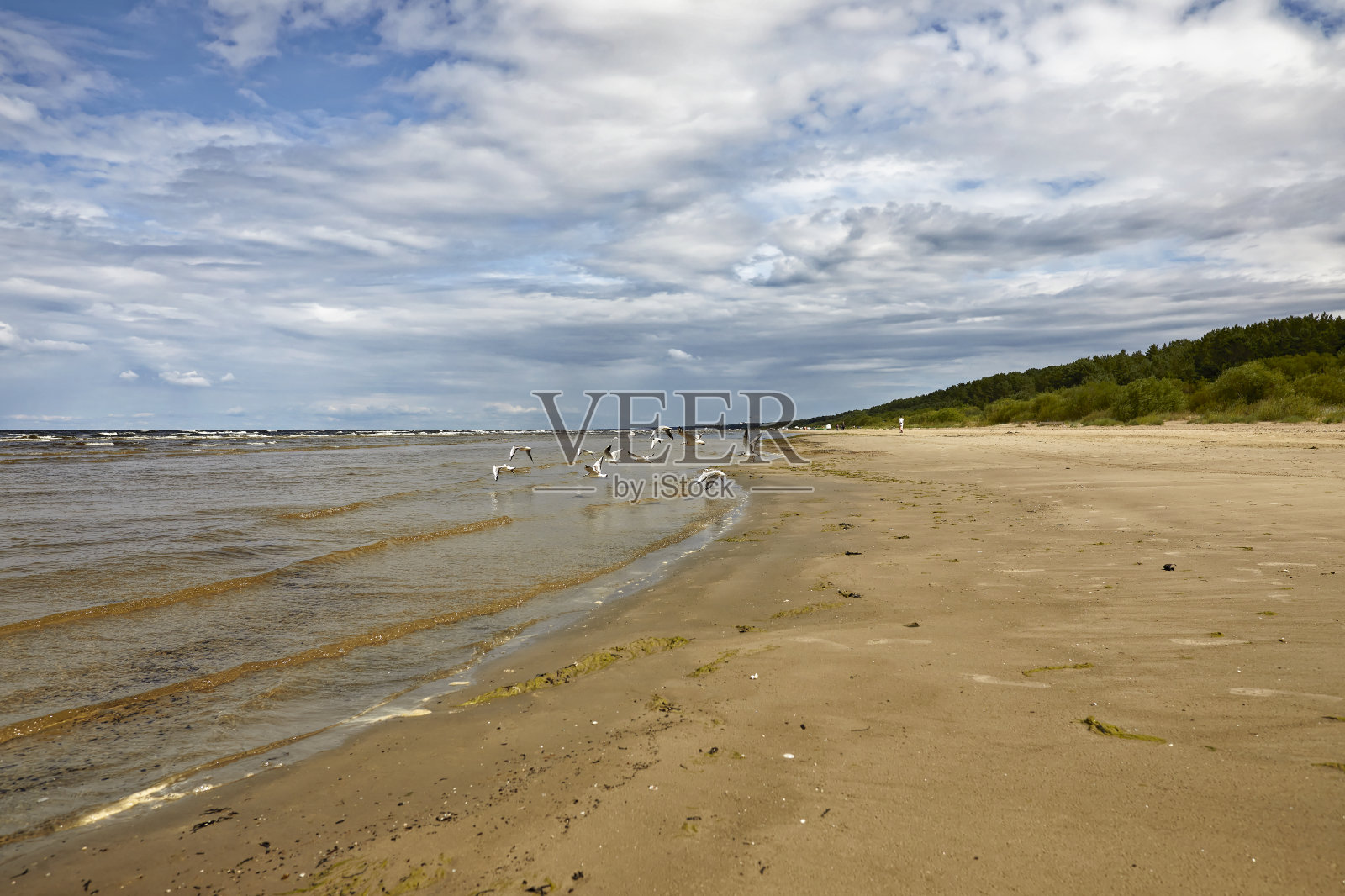 七月的下午在尤尔马拉海滩照片摄影图片