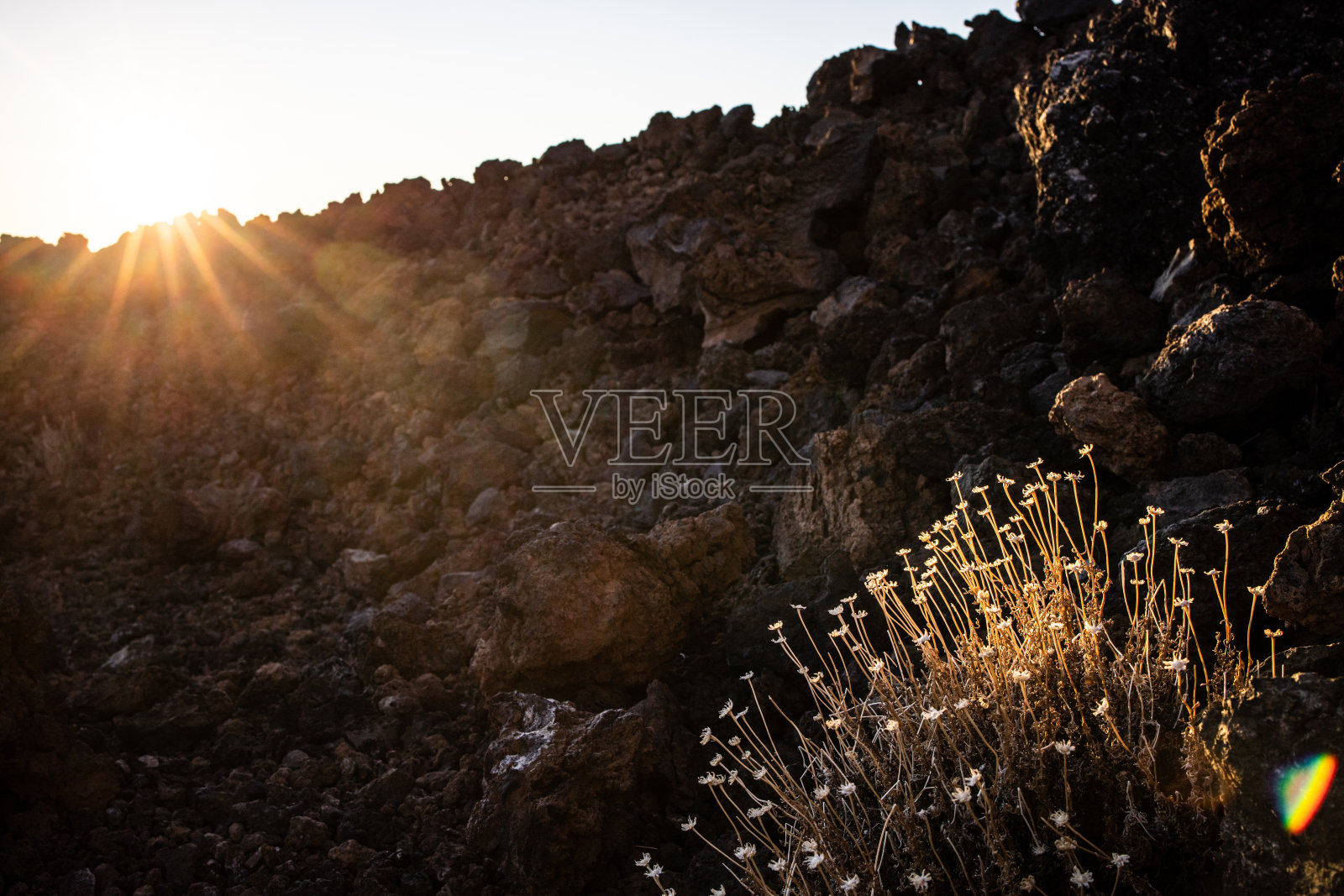 泰德特内里费国家公园中月亮升起的绚丽风景照片摄影图片
