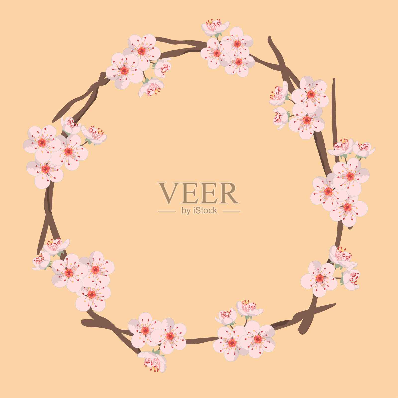 樱花枝架。插画图片素材