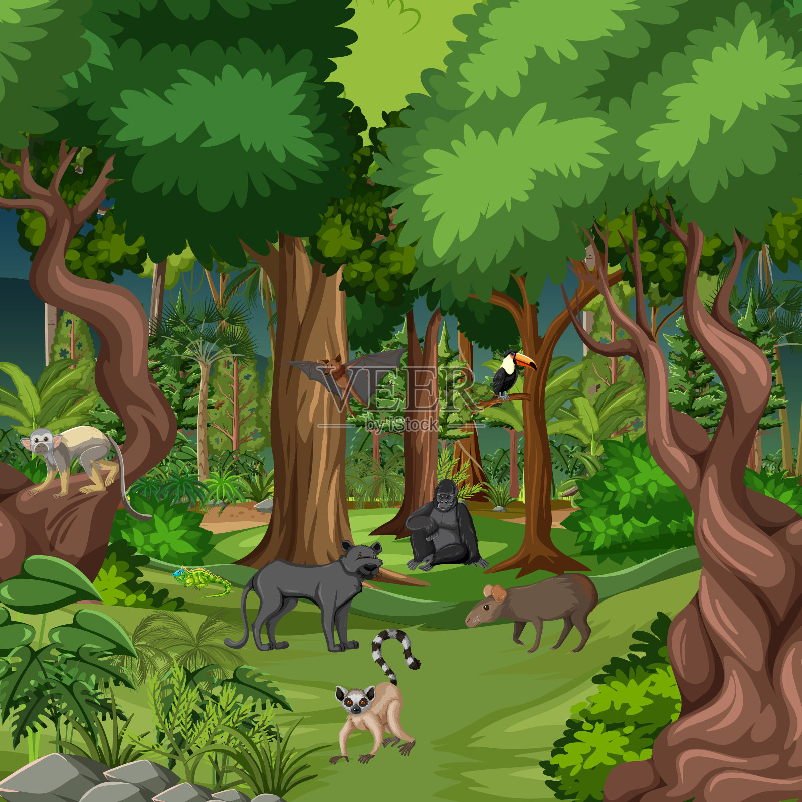 热带雨林中有各种各样的野生动物插画图片素材