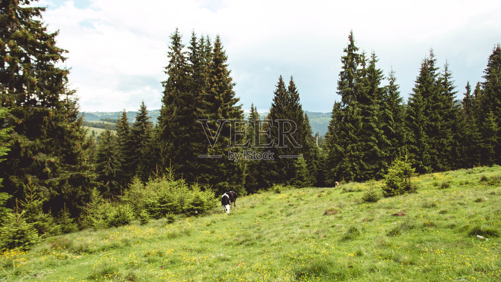 Belis湖照片摄影图片