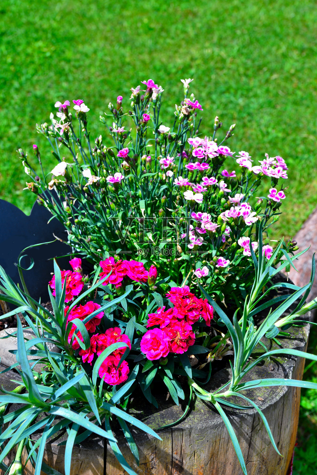 意大利南蒂罗尔的维拉德罗照片摄影图片