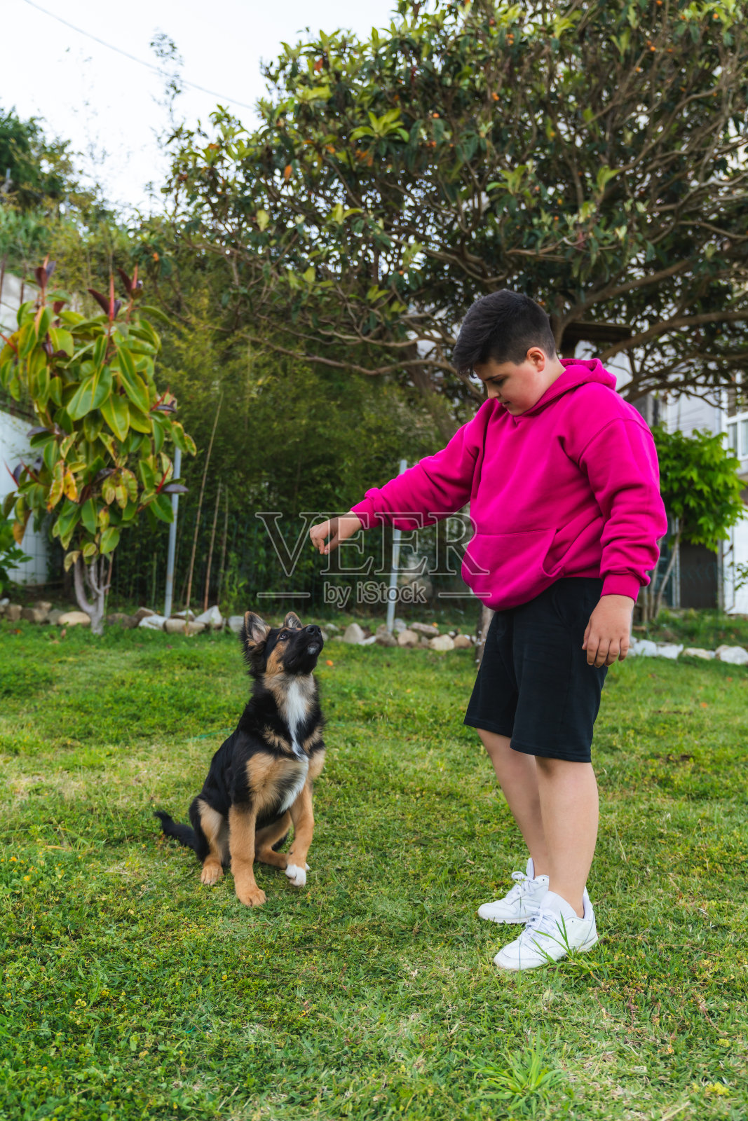 孩子在花园里和狗玩照片摄影图片