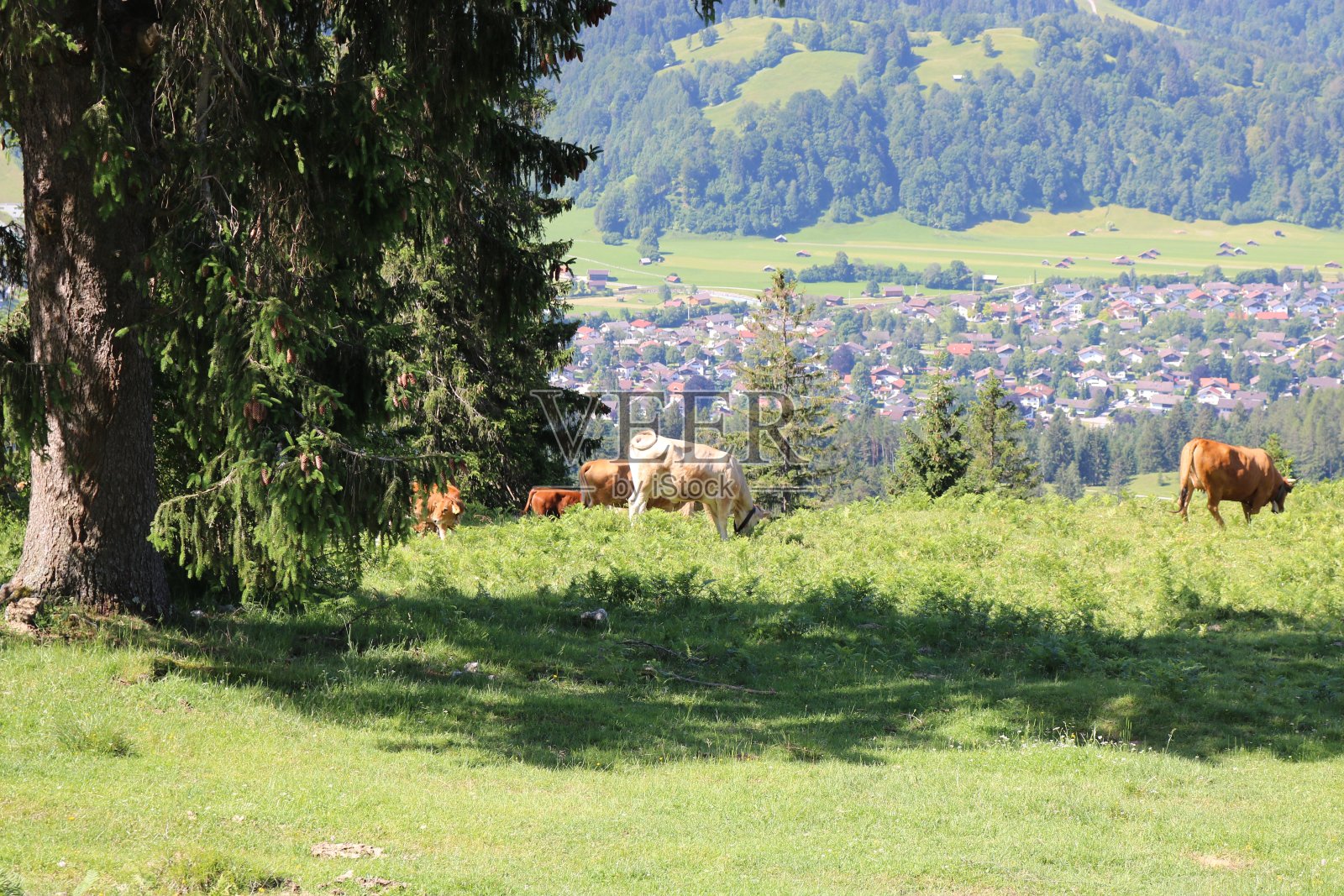 在巴伐利亚的撸克徒步旅行。照片摄影图片