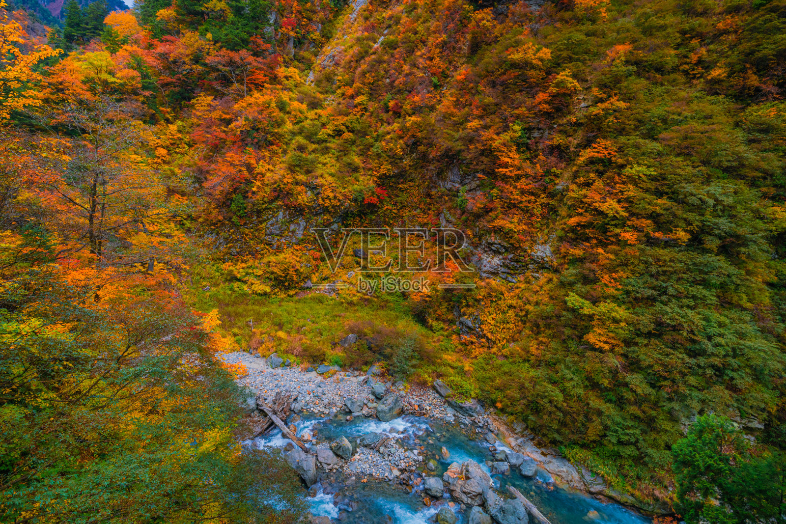 秋色在黑袍峡谷富山照片摄影图片