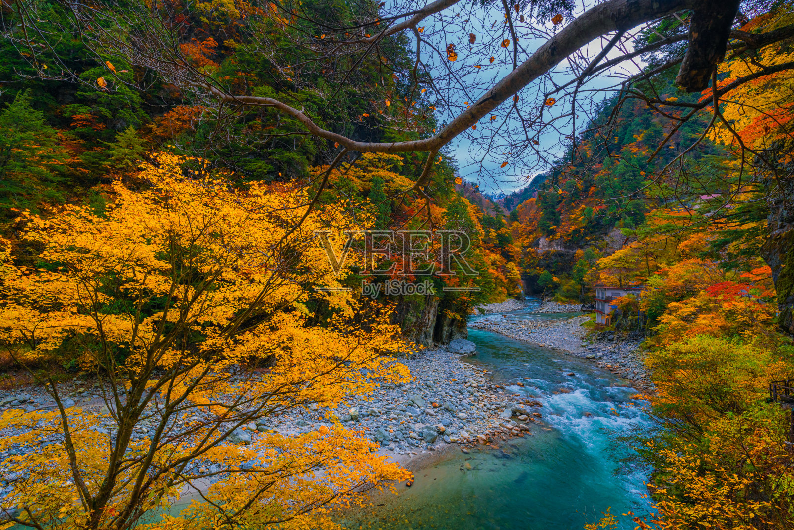 秋色在黑袍峡谷富山照片摄影图片