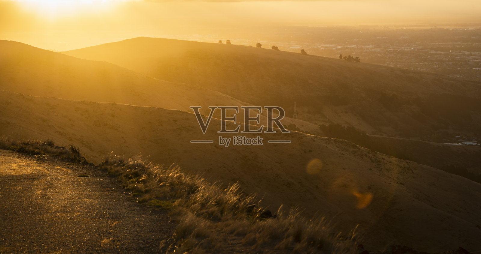 新西兰南岛坎特伯雷港山的金色日落照片摄影图片